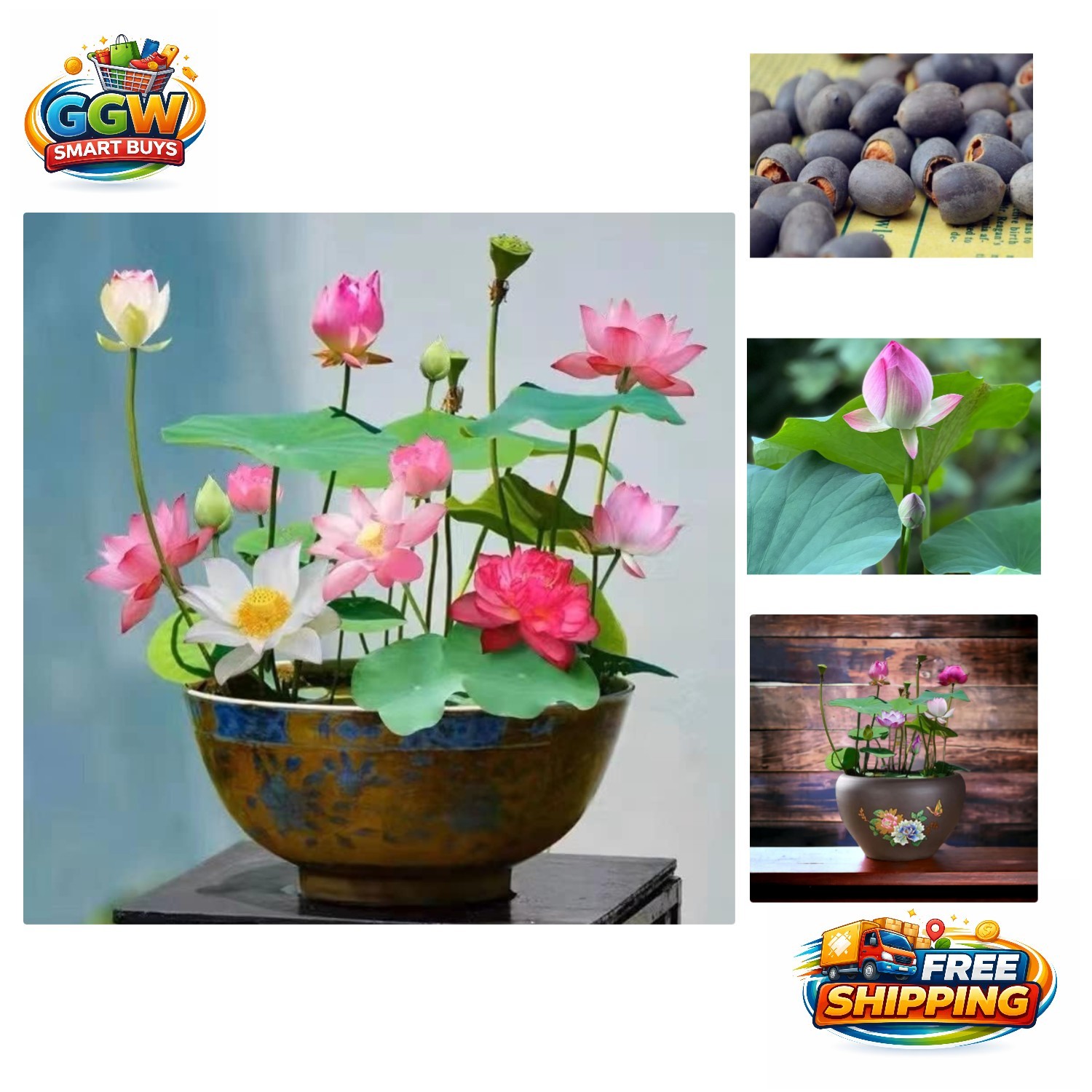 10pcs Indoor/Outdoor Lotus Seeds – Beautiful Water Lily Plants for Any Space