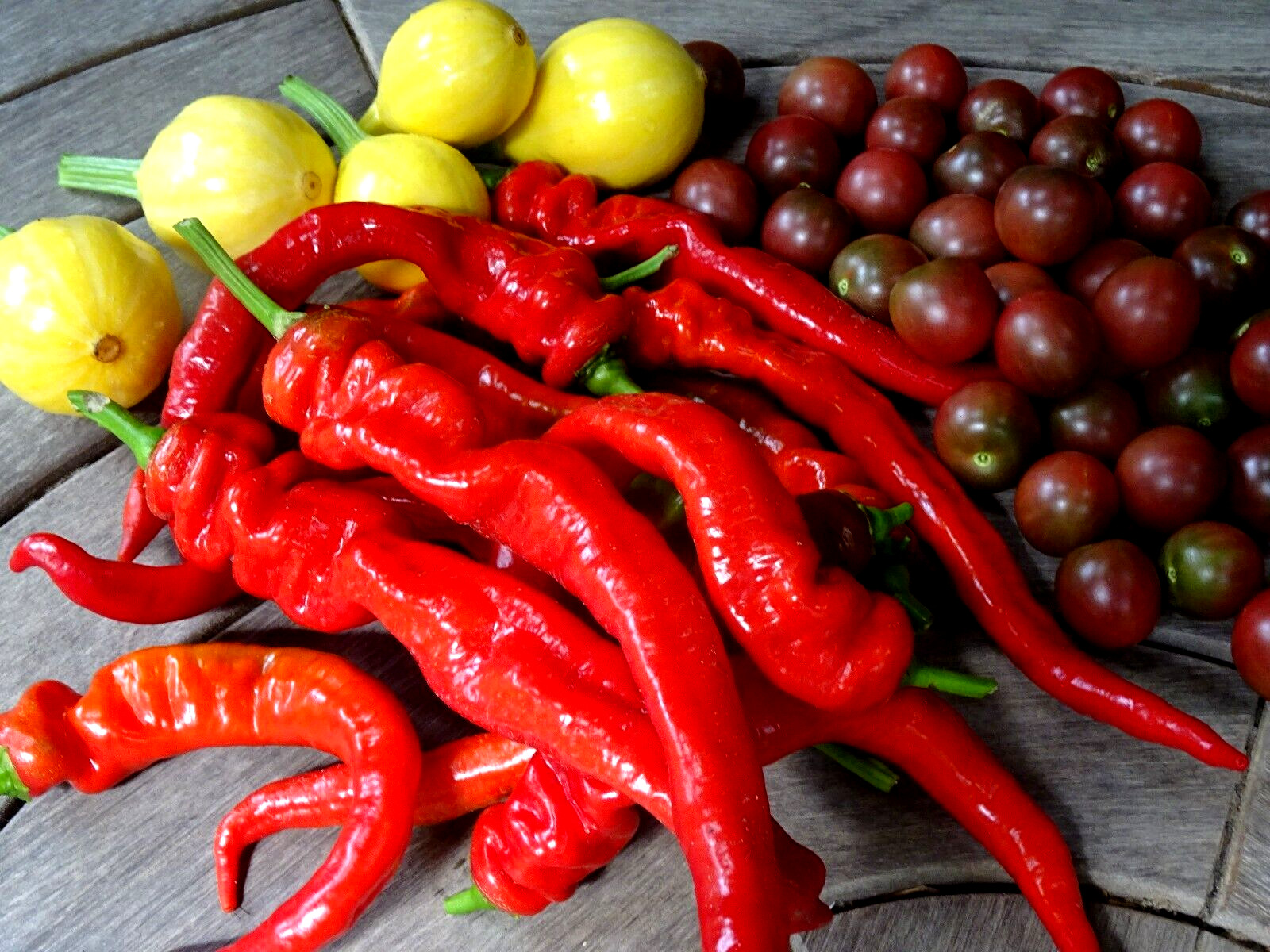 Jimmy Nardello Sweet Red Pepper 30 seeds Italian Heirloom Organic