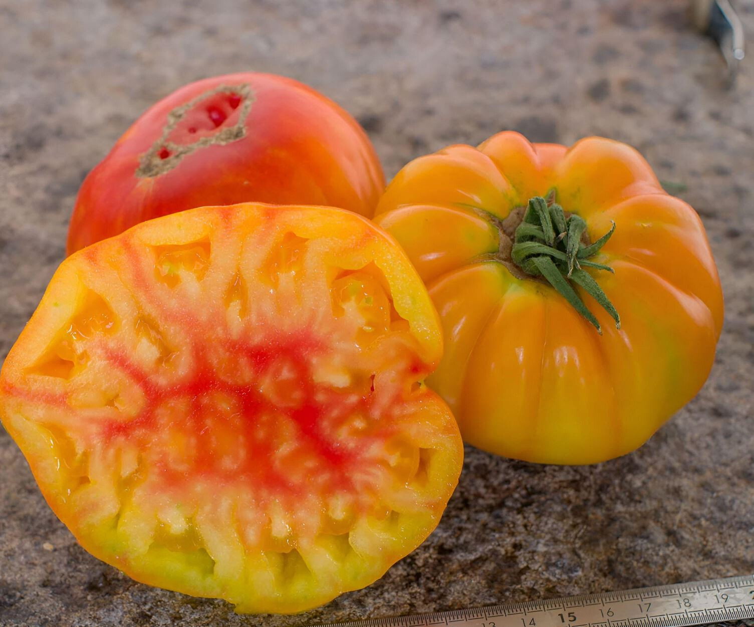 100 Heirloom Pineapple Tomato Seeds Huge 1-2lb Bi-Colored Sweet Indeterminate