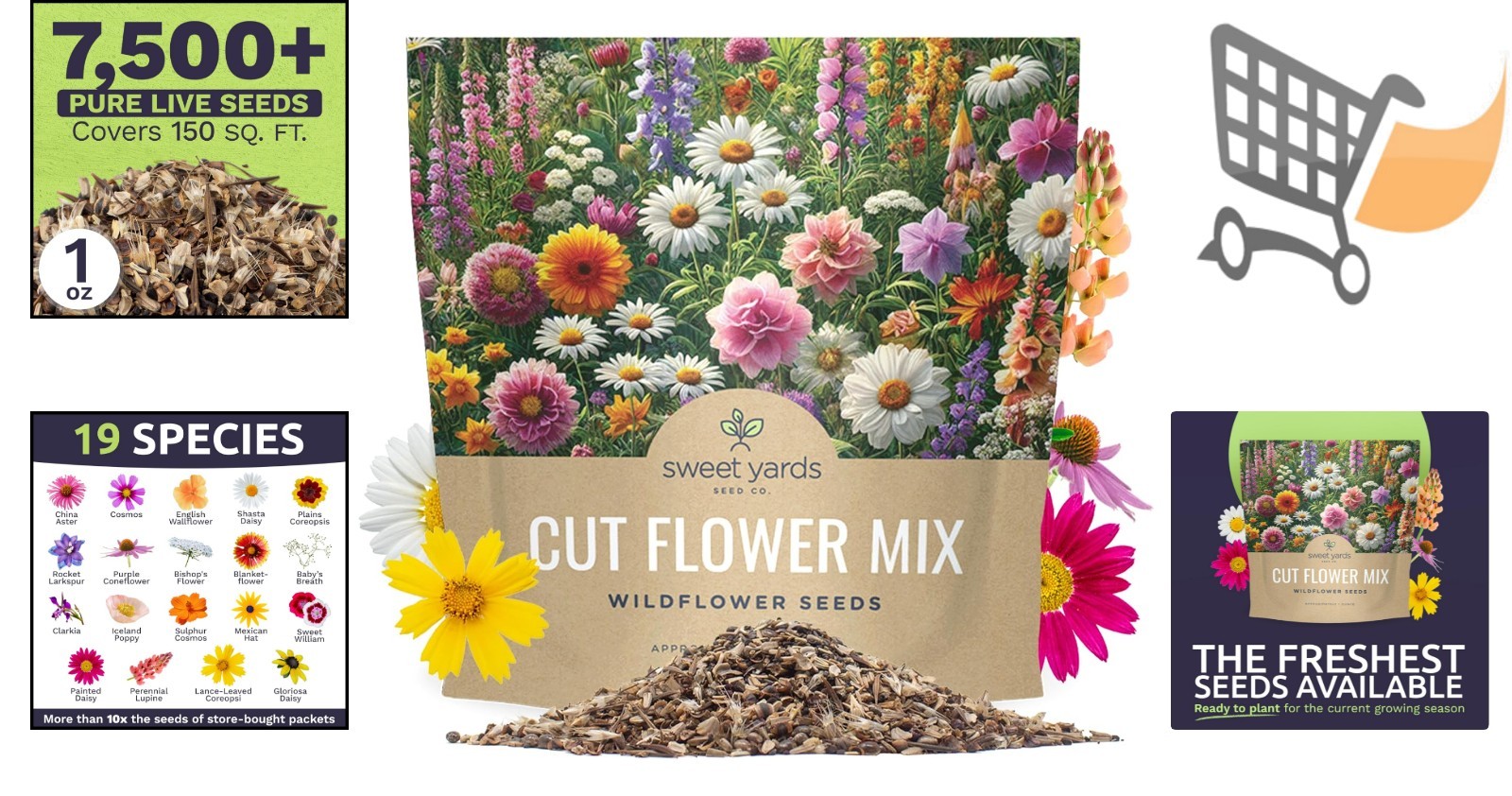 Cut Flower Garden Seeds 1 Ounce Pack Bright Colors Perennials Annuals