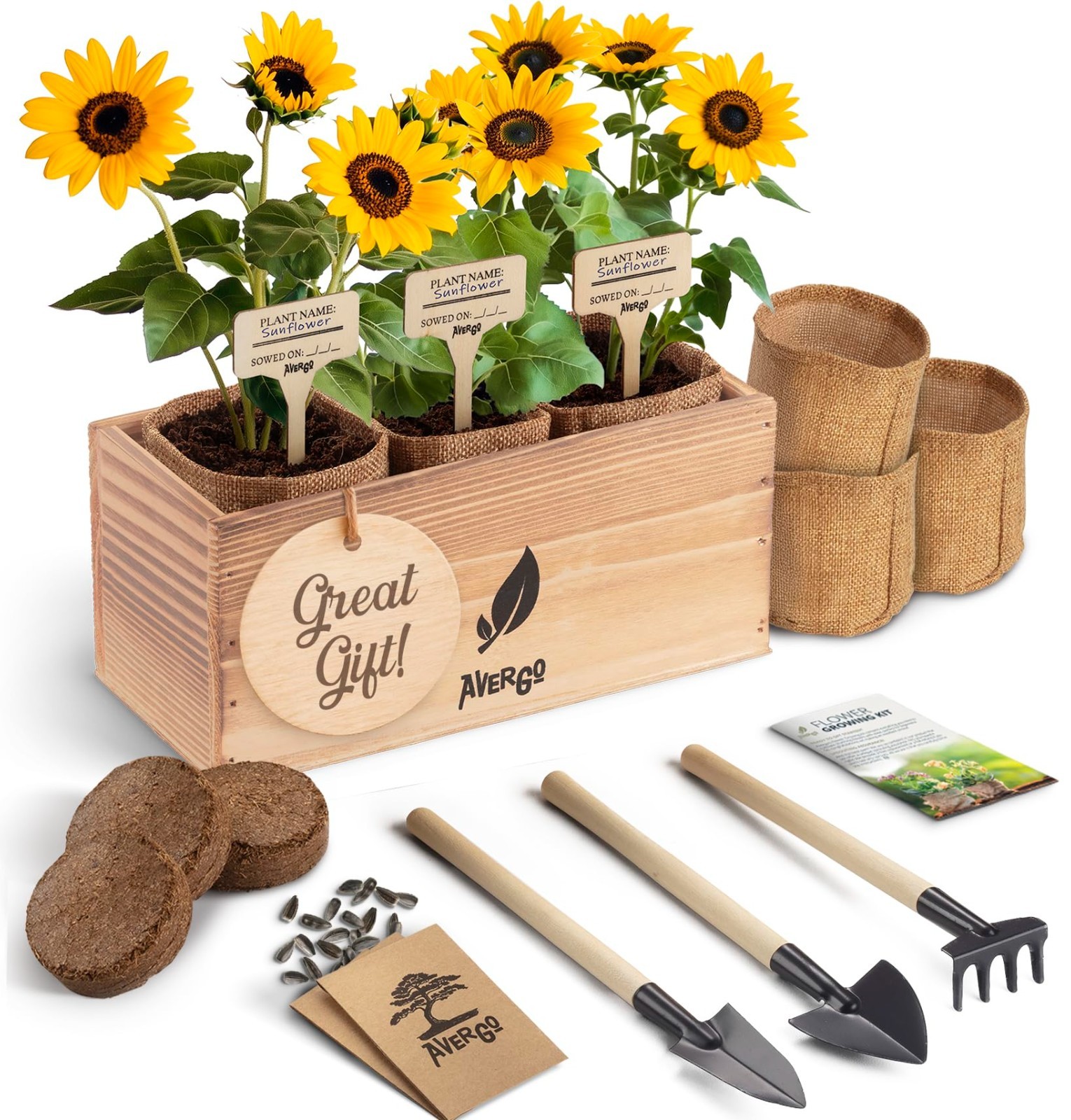 Sunflower Seeds Growing Kit – Complete Indoor & Outdoor Planting Set with Soil,