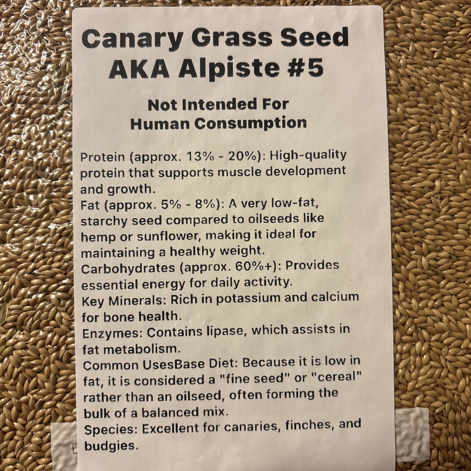 5 Pounds Of Alpiste Canary Seed Bird Food for All Birds