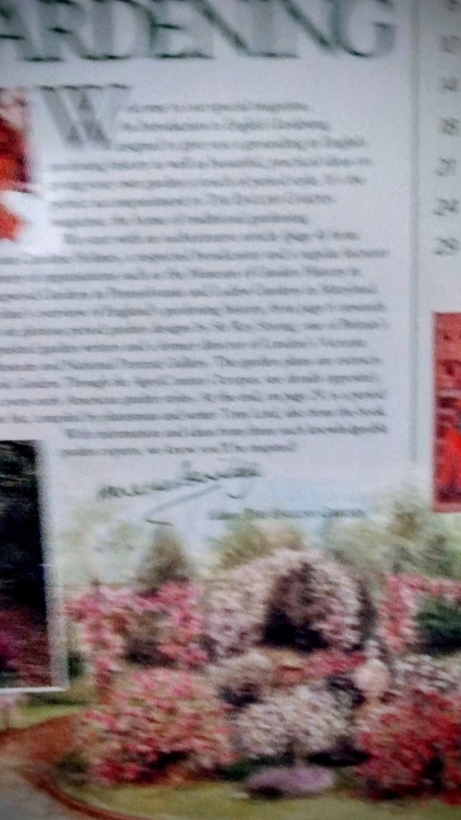 MAGAZINE INTRODUCTION TO ENGLISH GARDENING — AMAZON 2000 VICTORIAN / ROSES