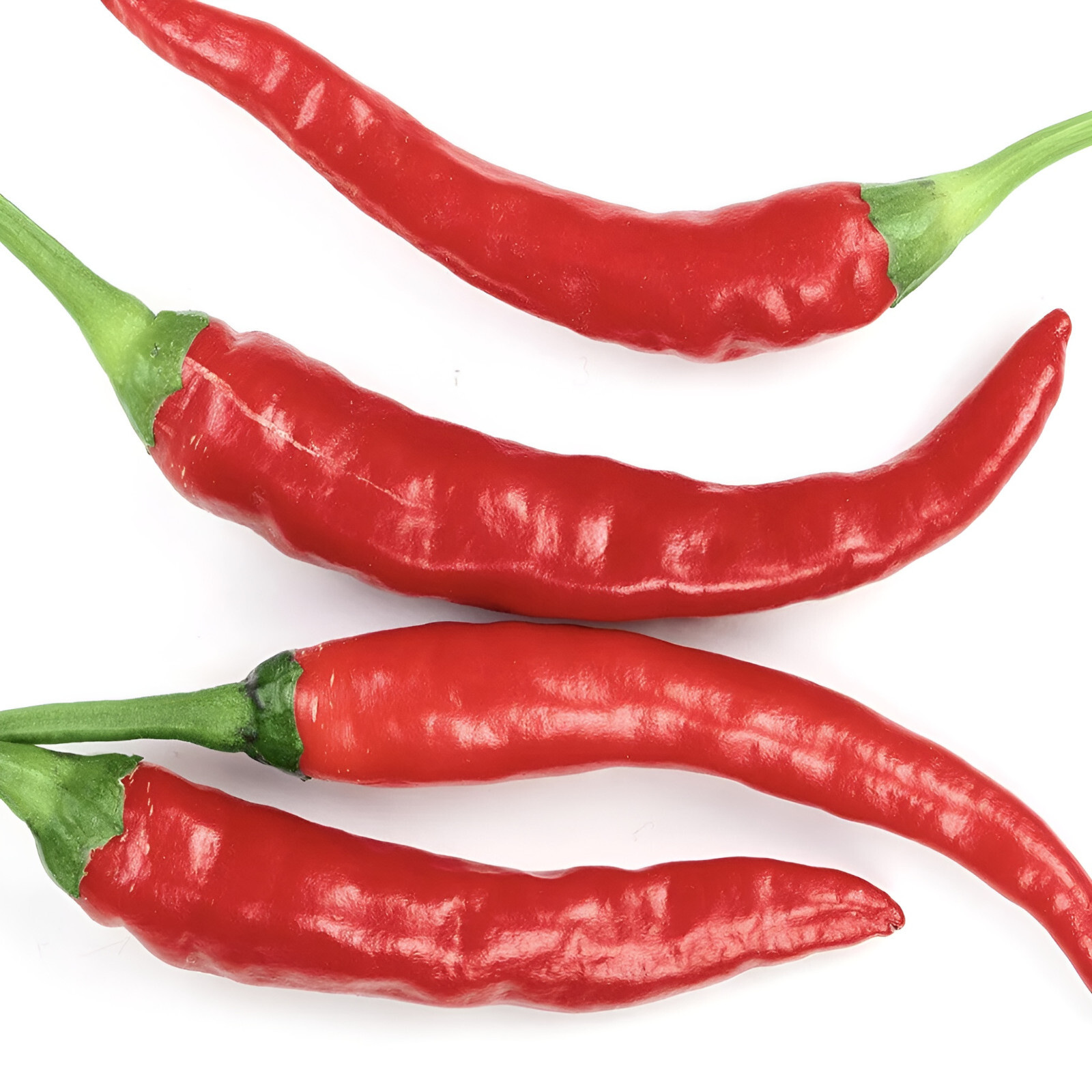 100 Heirloom Long Thin Red Cayenne Pepper Seeds Superior Health Benefits Classic