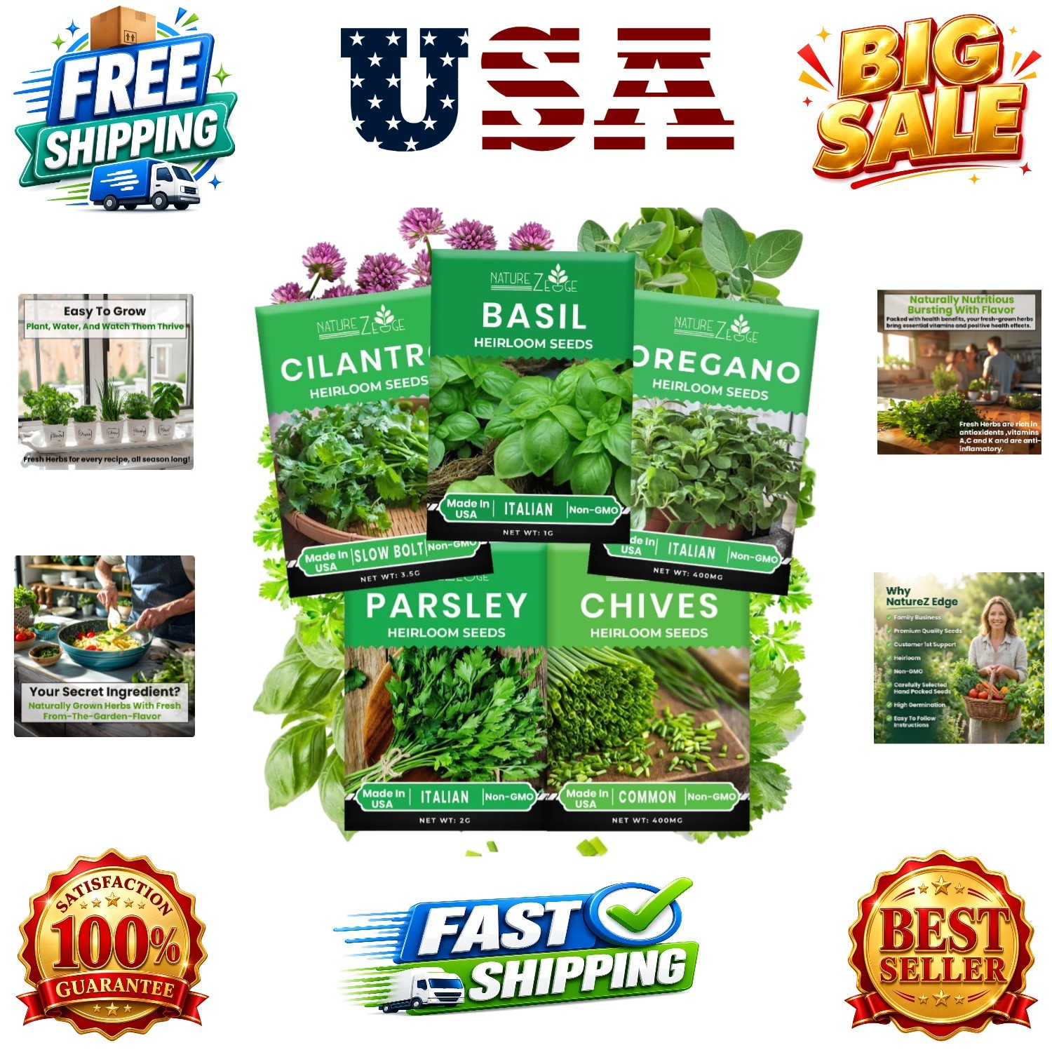 5 Herb Seeds Variety Kit, Oregano, Cilantro, Parsley, Basil, Chives