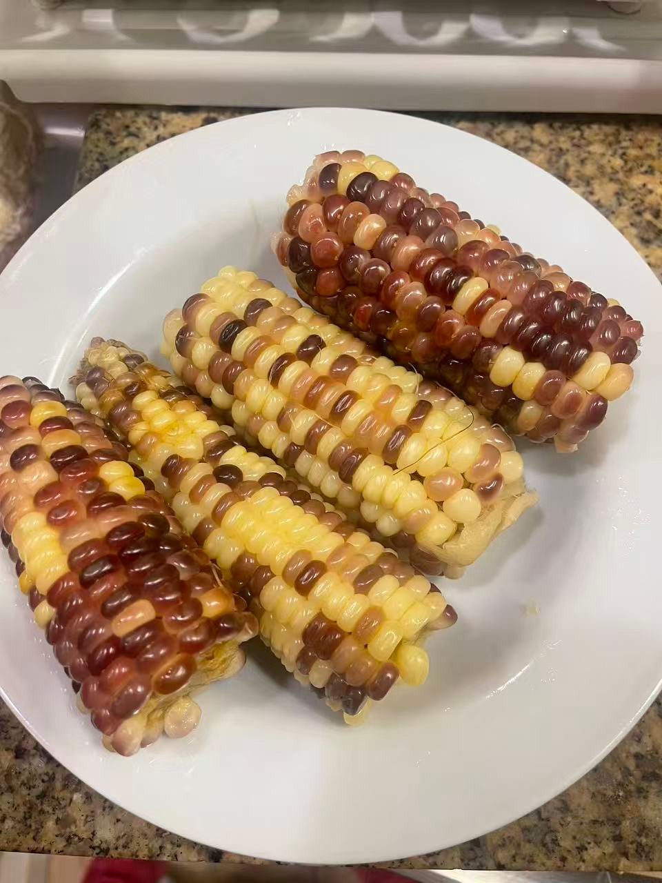 Organic Sweet Sticky Waxy Mixed Variety Glutinous Corn Non-GMO 糯玉米