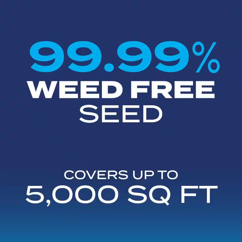 Grass Seed Drought Tolerant Mix 10 Lb. 5,000 Sq. Ft. Kentucky Bluegrass and Tall