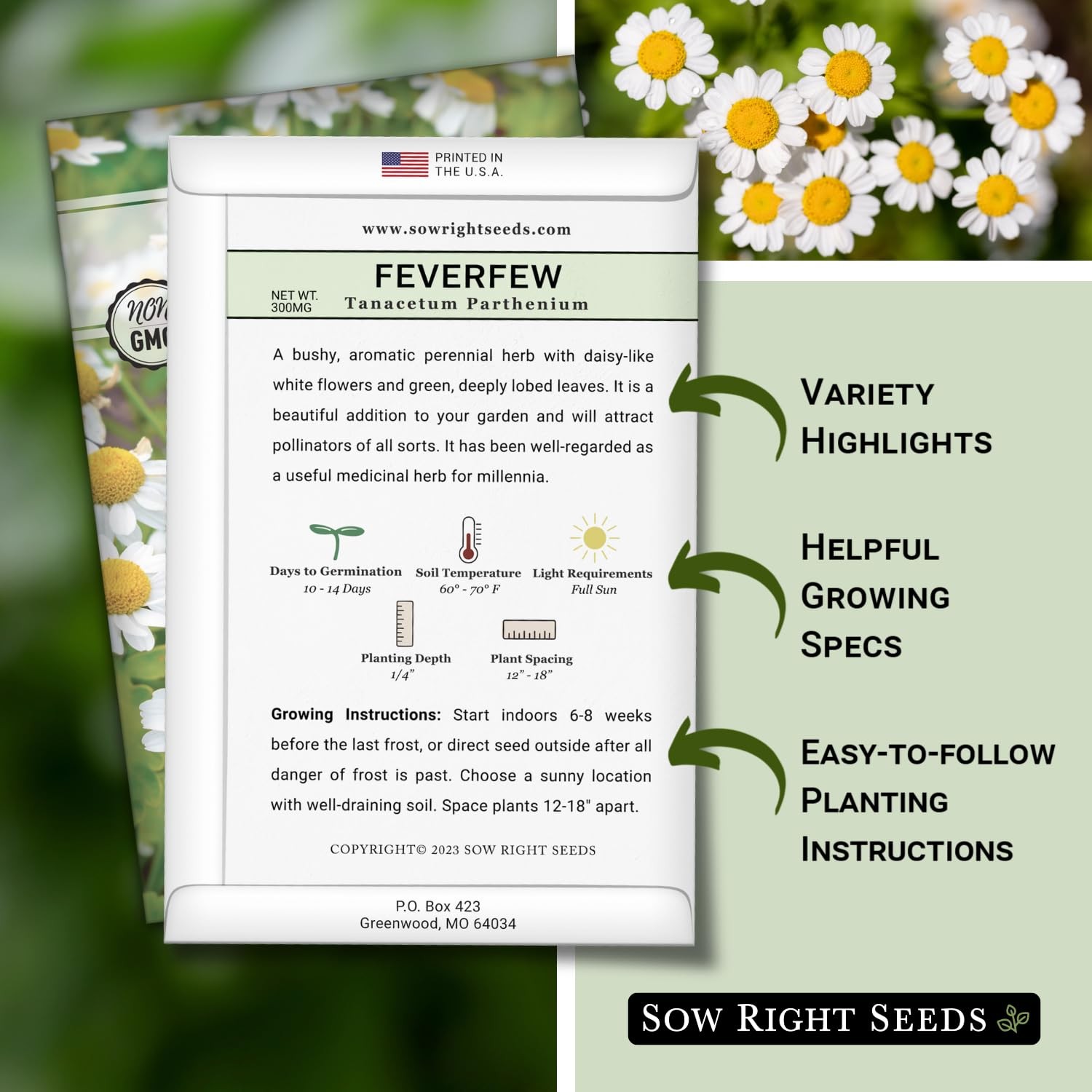 – Feverfew Seeds for Planting – Non-GMO Heirloom Packet with Instructions to …