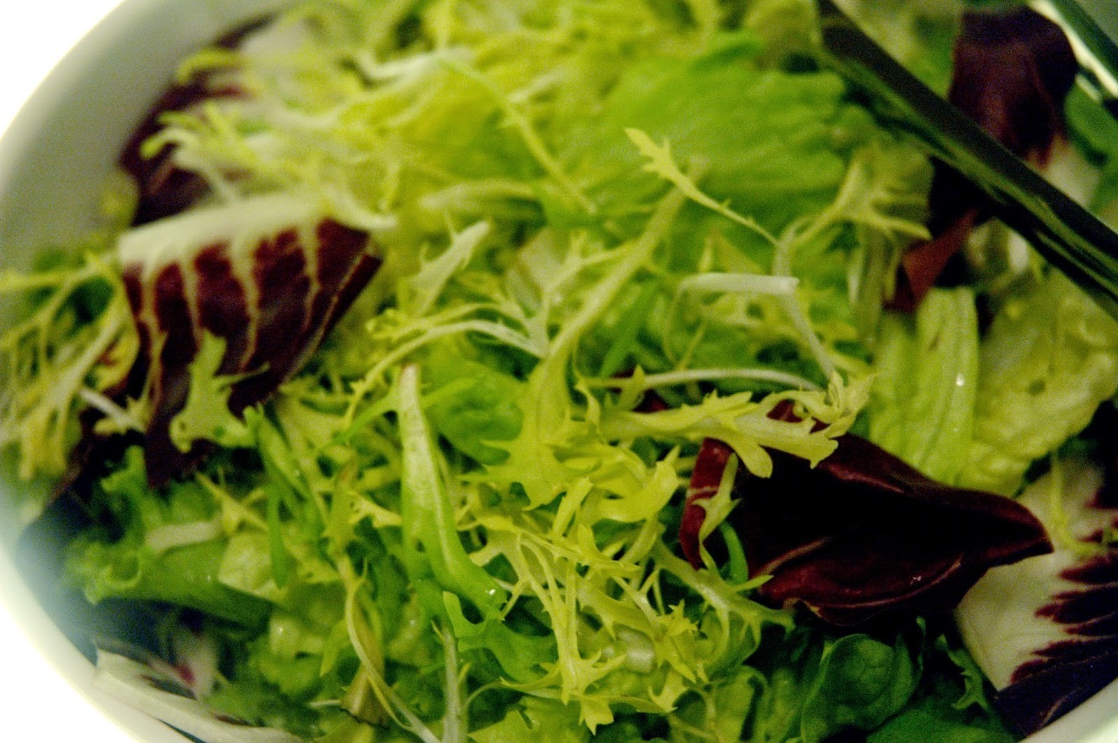Lettuce – Mesclun Mix 50+ Seeds Gourmet Spring Non-GMO Heirloom Microgreens