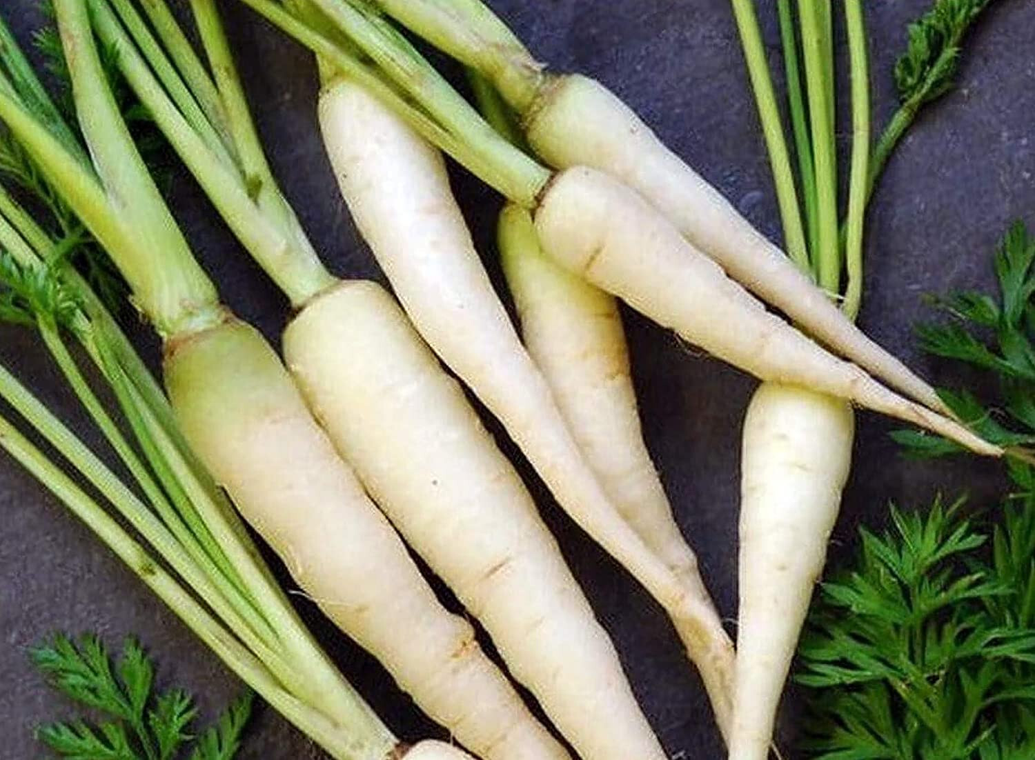 350 WHITE LUNAR CARROT SEEDS NON-GMO FRESH FOR 2024 GARDENS US SELLER