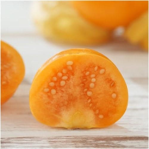 Ground Cherry Tomatillo Seeds For Planting (Physalis pruinosa)