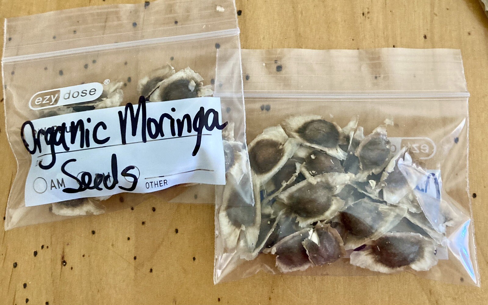 Hand Picked organic Moringa Oleifera Seeds from my Tree in Sunny Arizona🌵🌞