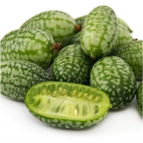 25+ Melothria Scabra / Mouse Melon / Cucamelaon / Seeds / DELICIOUS