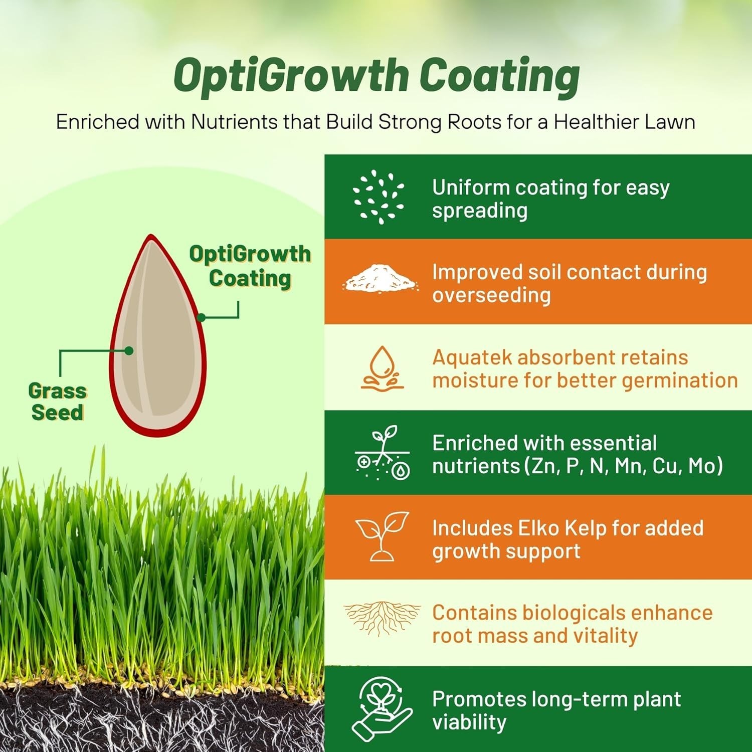 10 Lbs. Fine Fescue Grass Seed with OptiGrowth Coating for Vibrant Lawns