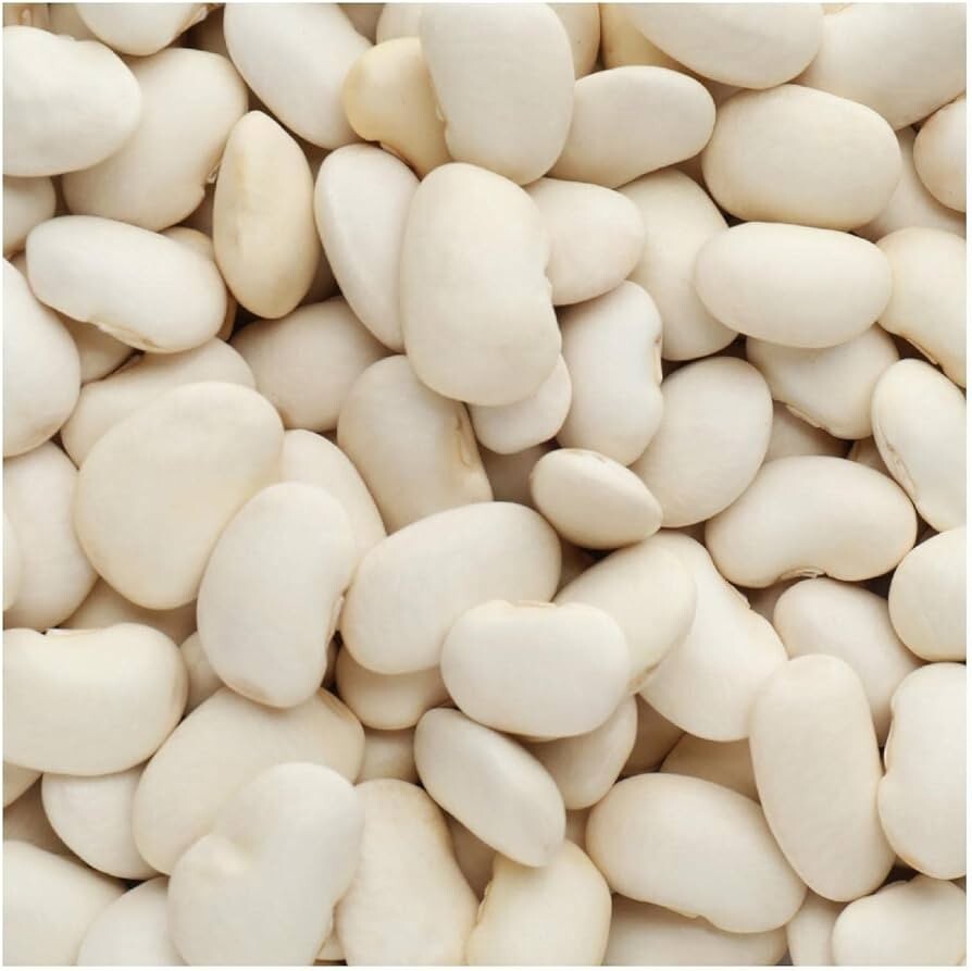 20+ seeds, Bean Seeds (Bush Lima)- Henderson, Open pollinated, Heirloom, Non-GMO