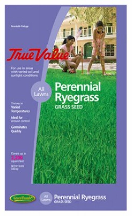 Barenbrug USA TVPRG7 Tv 7 lb Peren Rye Seed