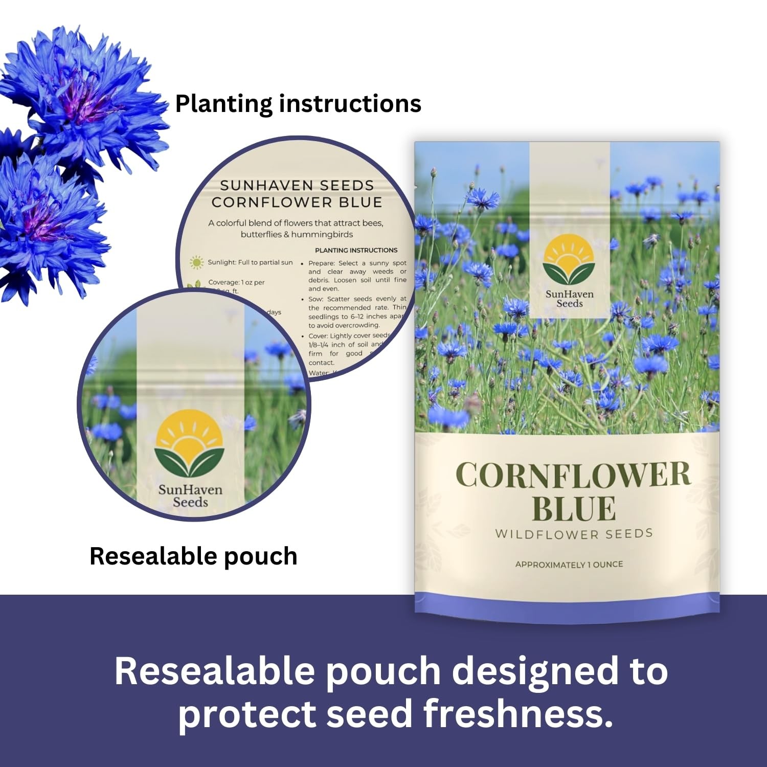 Bachelor Button Seeds – Blue Cornflower – 5,500+ Seeds – 1 oz Bulk Extra Larg…