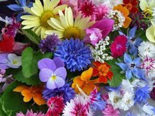 Organic Flowers 1-A