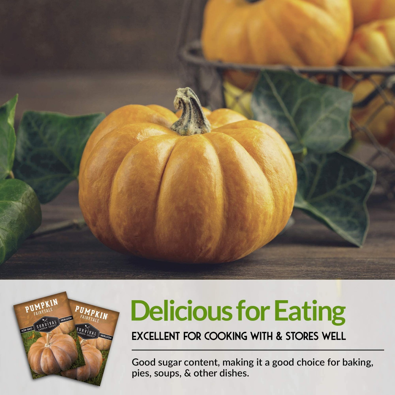 Heirloom Pumpkin Seeds for Planting | Sweet Flavor for Pies, Soups, Décor