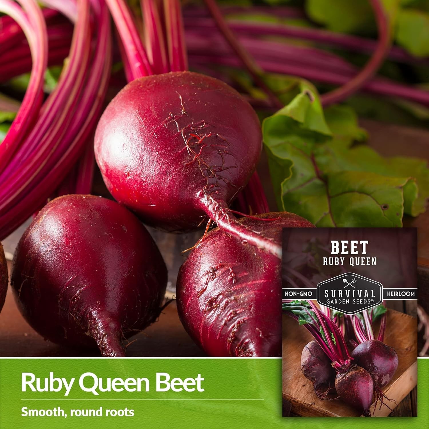 Heirloom Ruby Queen Beet Seeds – Compact, Disease Resistant, Gourmet Flavor
