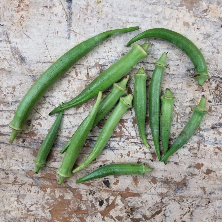 OKRA SEED, EMERALD, HEIRLOOM, NON GMO, 200 SEEDS, GARDEN OKRA SEED
