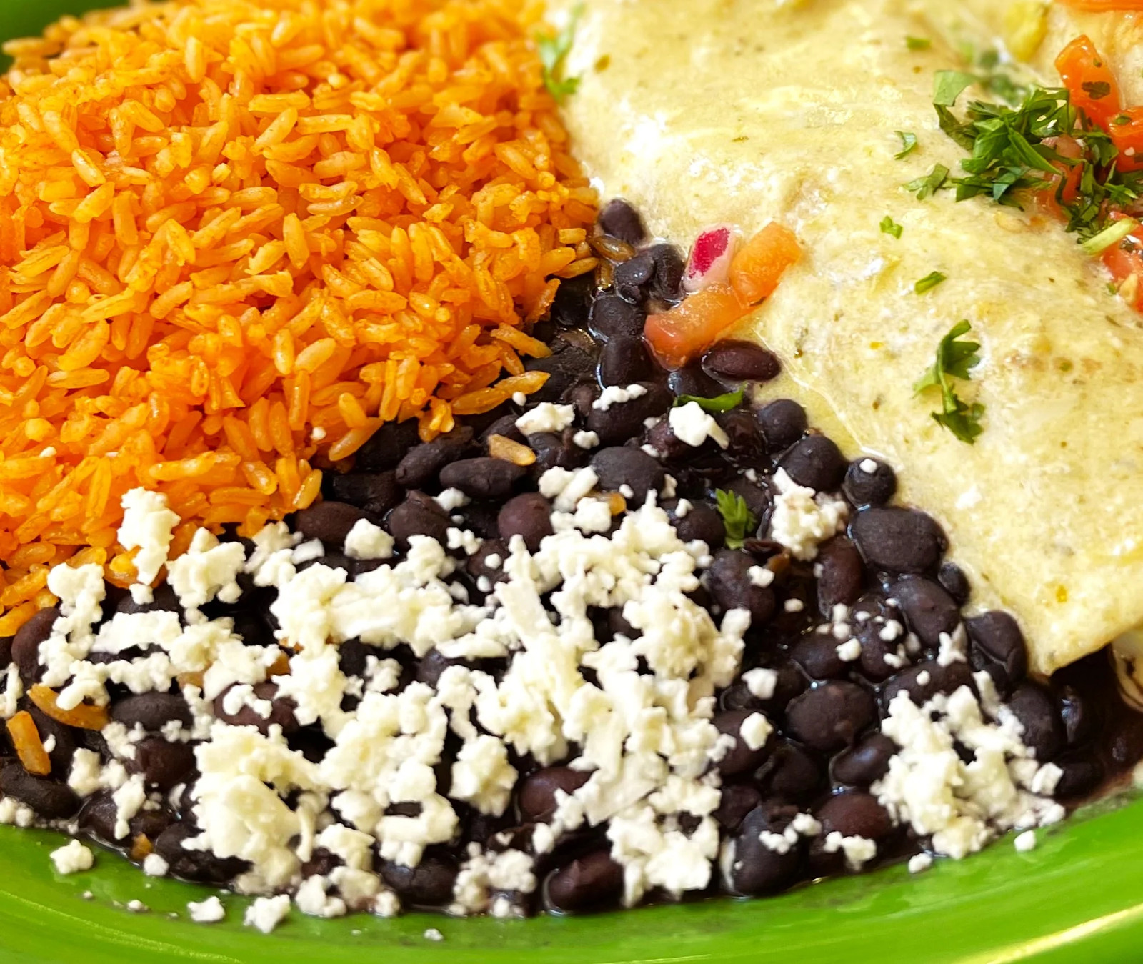 Black Bean Seeds | For Planting Mexican Frijoles Beans Black Turtle Seed 2025
