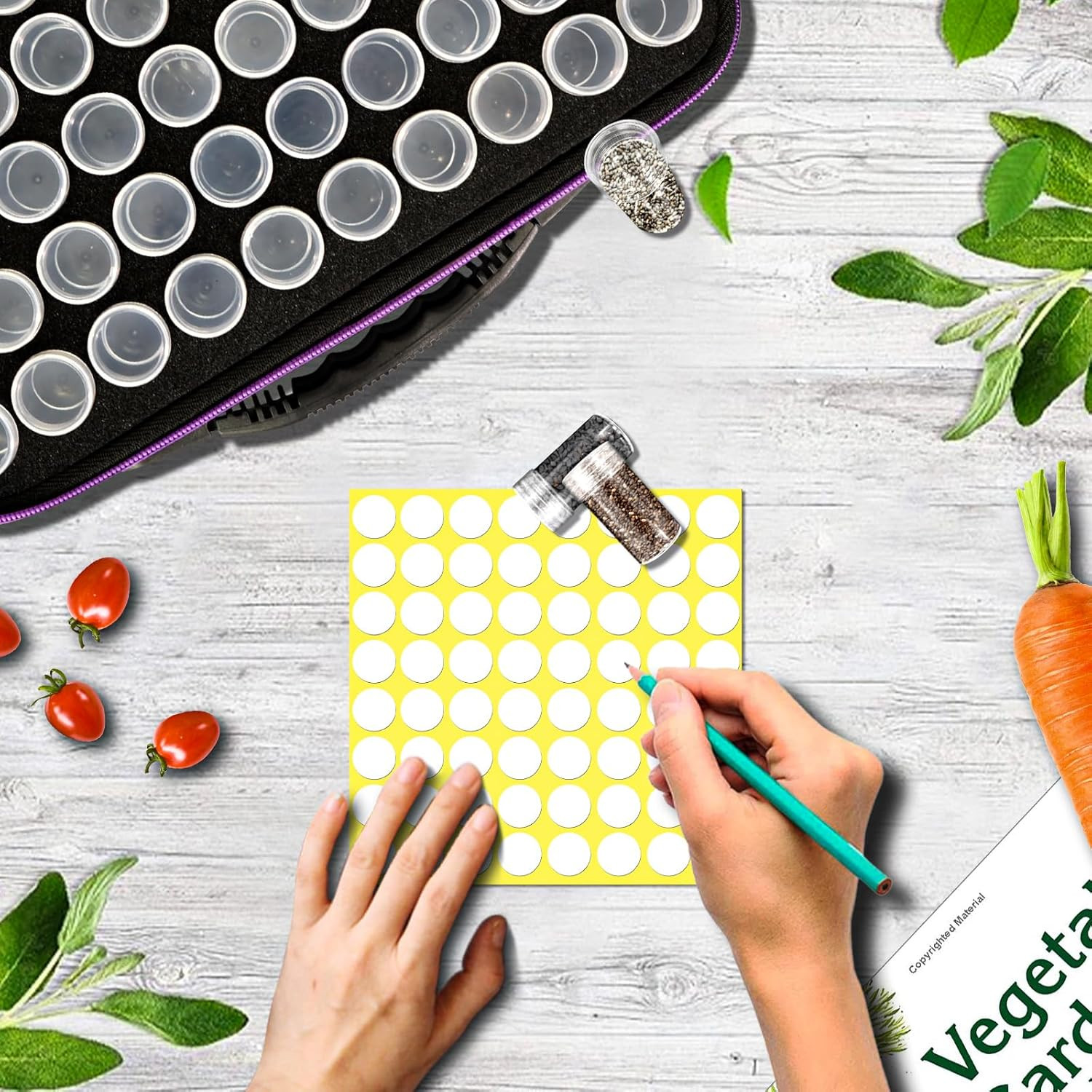 60 Slots Seed Storage Organizer with 10 Envelopes, Garden Seed Packet Container