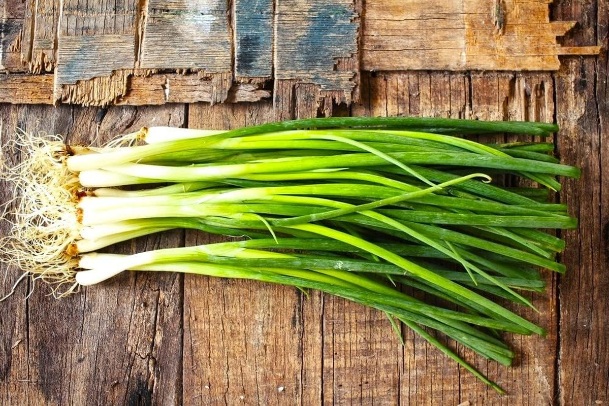 Bunching Green Onion Seeds Scallions about 300 Non-Gmo Seeds for Planting