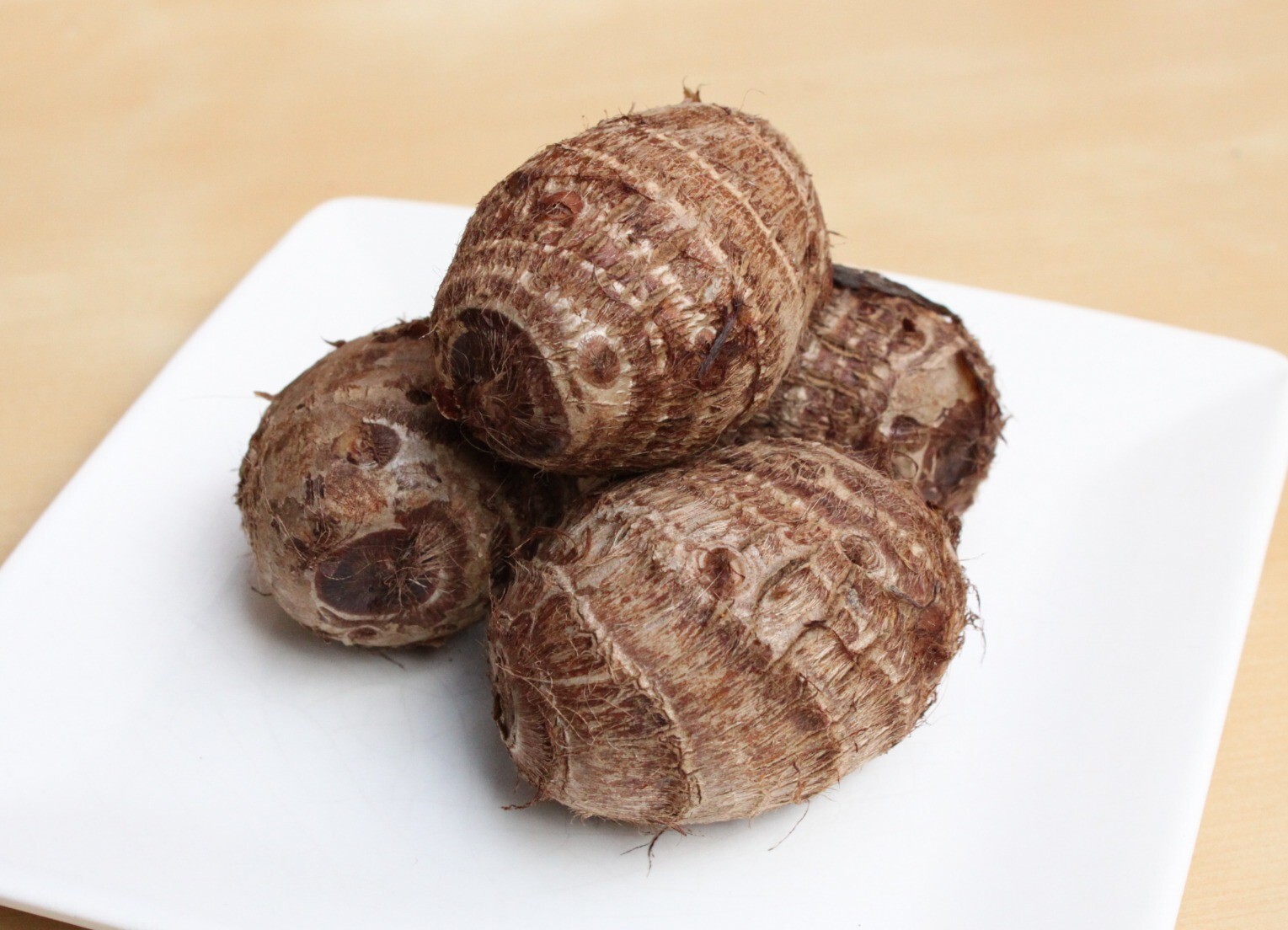 Taro Root, can be used as a starchy vegetable or perennial Elephant Ear plant.