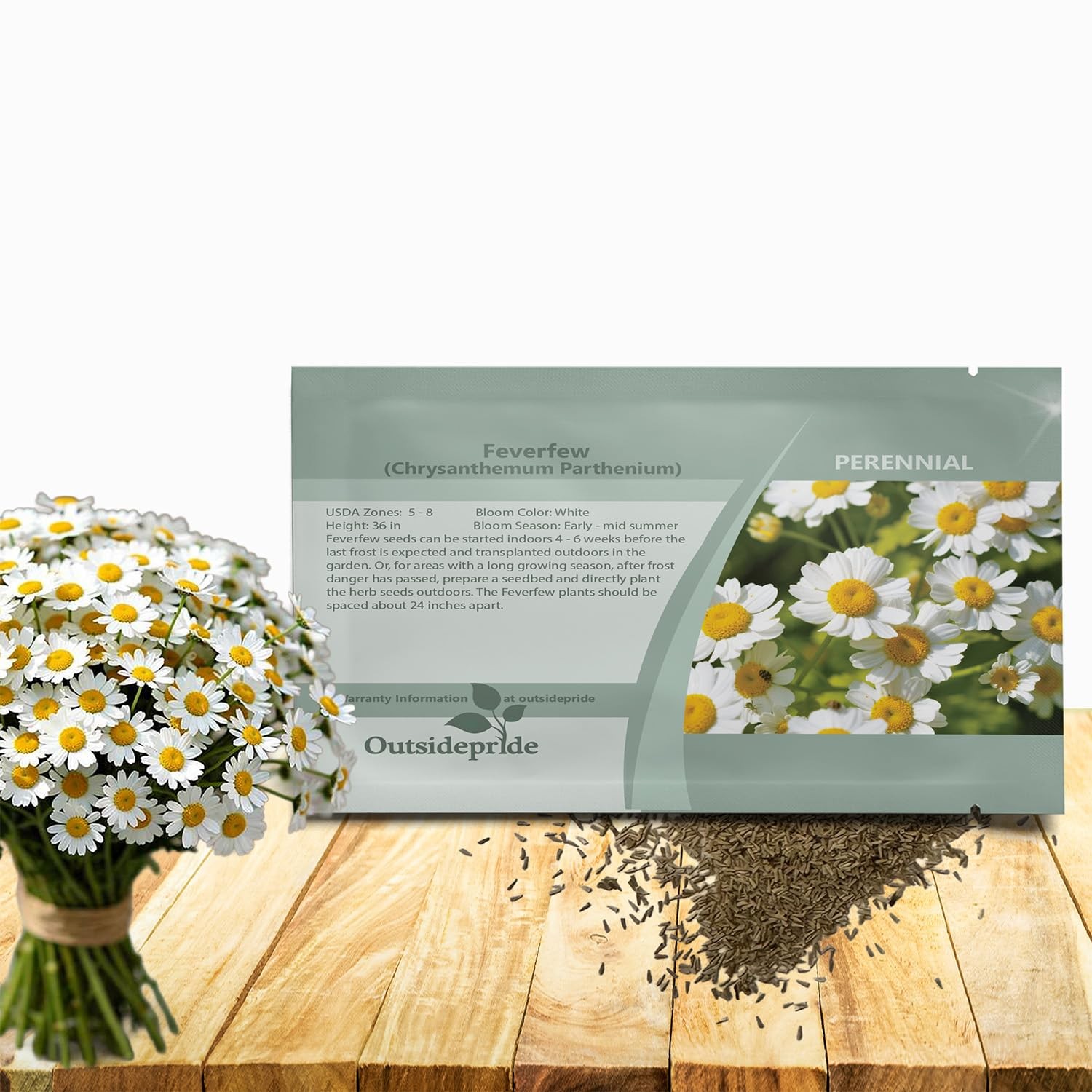 Feverfew Chrysanthemum Seeds 5000 Pcs, Perennial Flower Seeds for Gardens