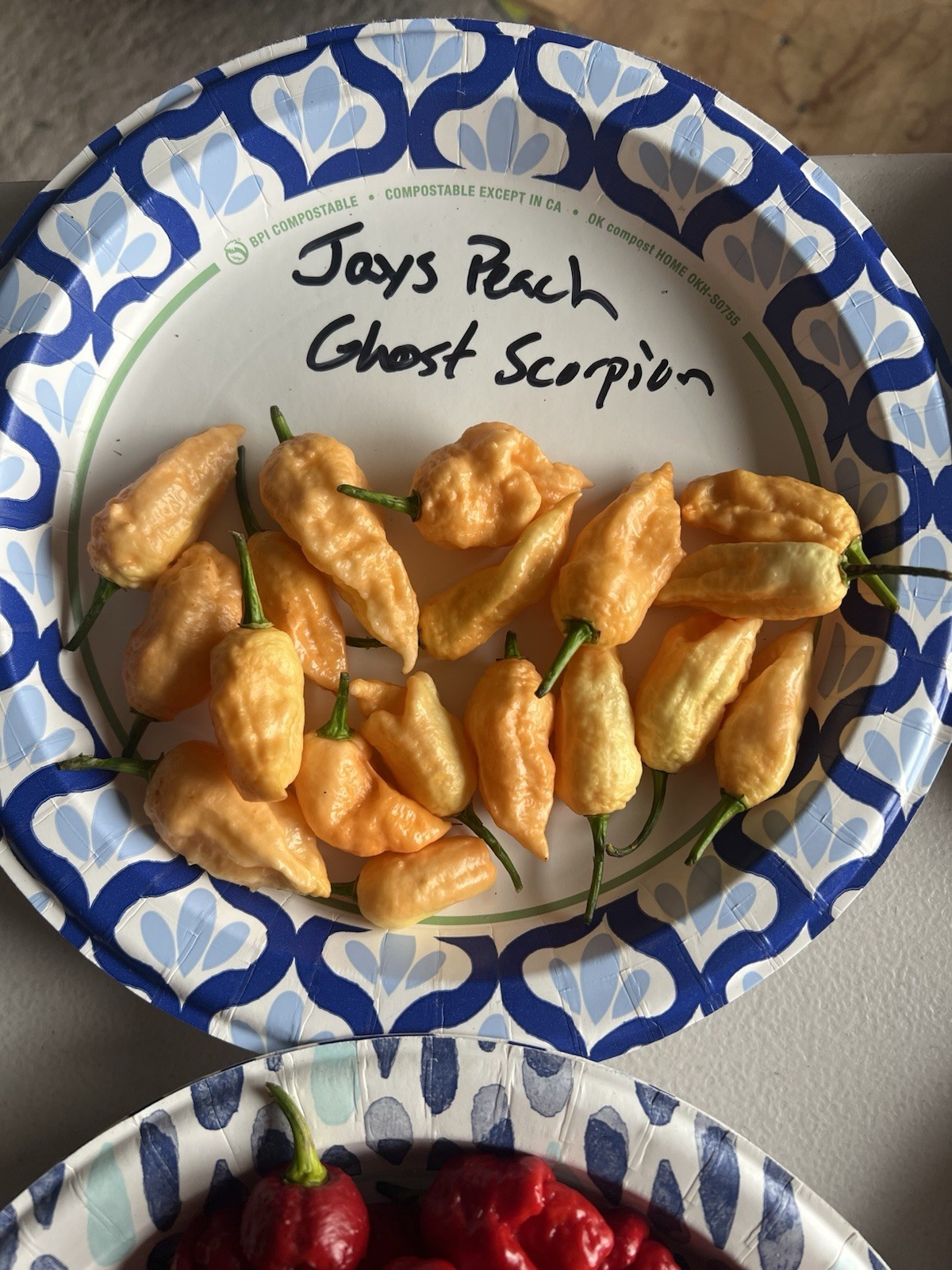 Jay’s Peach Ghost Scorpion Hot Pepper Seeds 15+ Per Pack