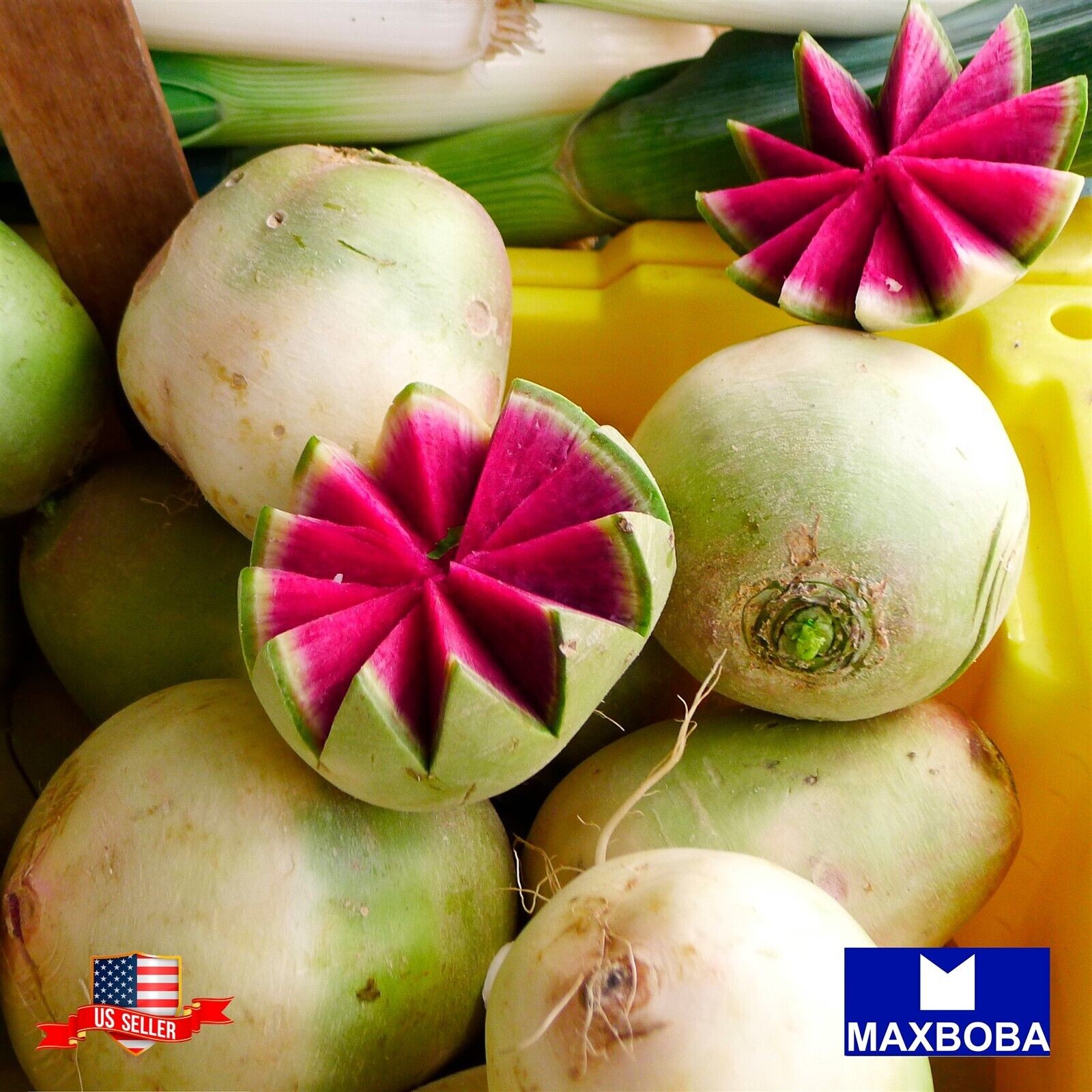 200 Radish Fresh Seeds – Watermelon Raphanus Sativus Non-GMO Heirloom