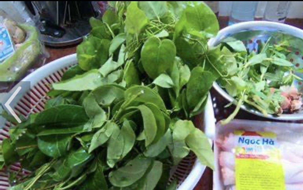3 pounds La giang Tuoi (Fresh Leaves)- Not To Ship To California