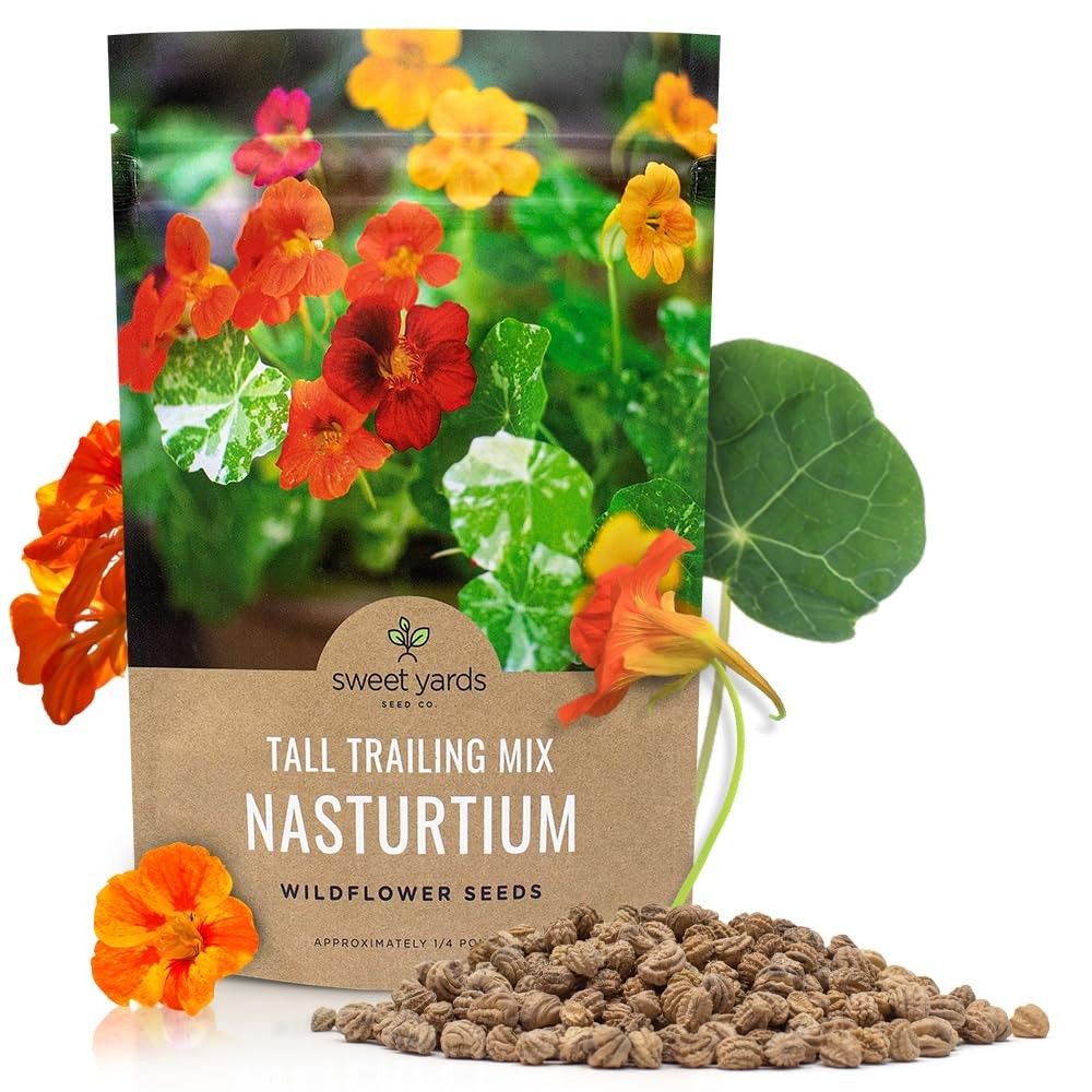 Mixed Color Nasturtium Seeds NonGMO Bulk Quarter Pound 900+ Open Pollinated