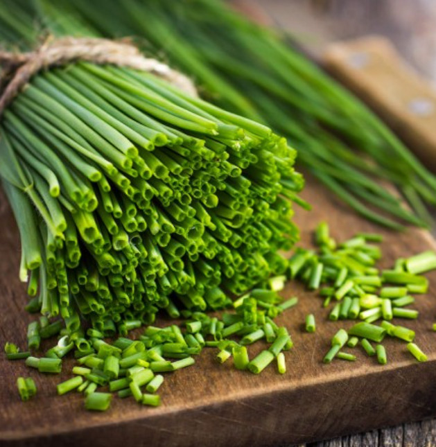 CHIVES COMMON Herb Garden Culinary Fines Herbs Perennial Salads NonGMO 500 Seeds