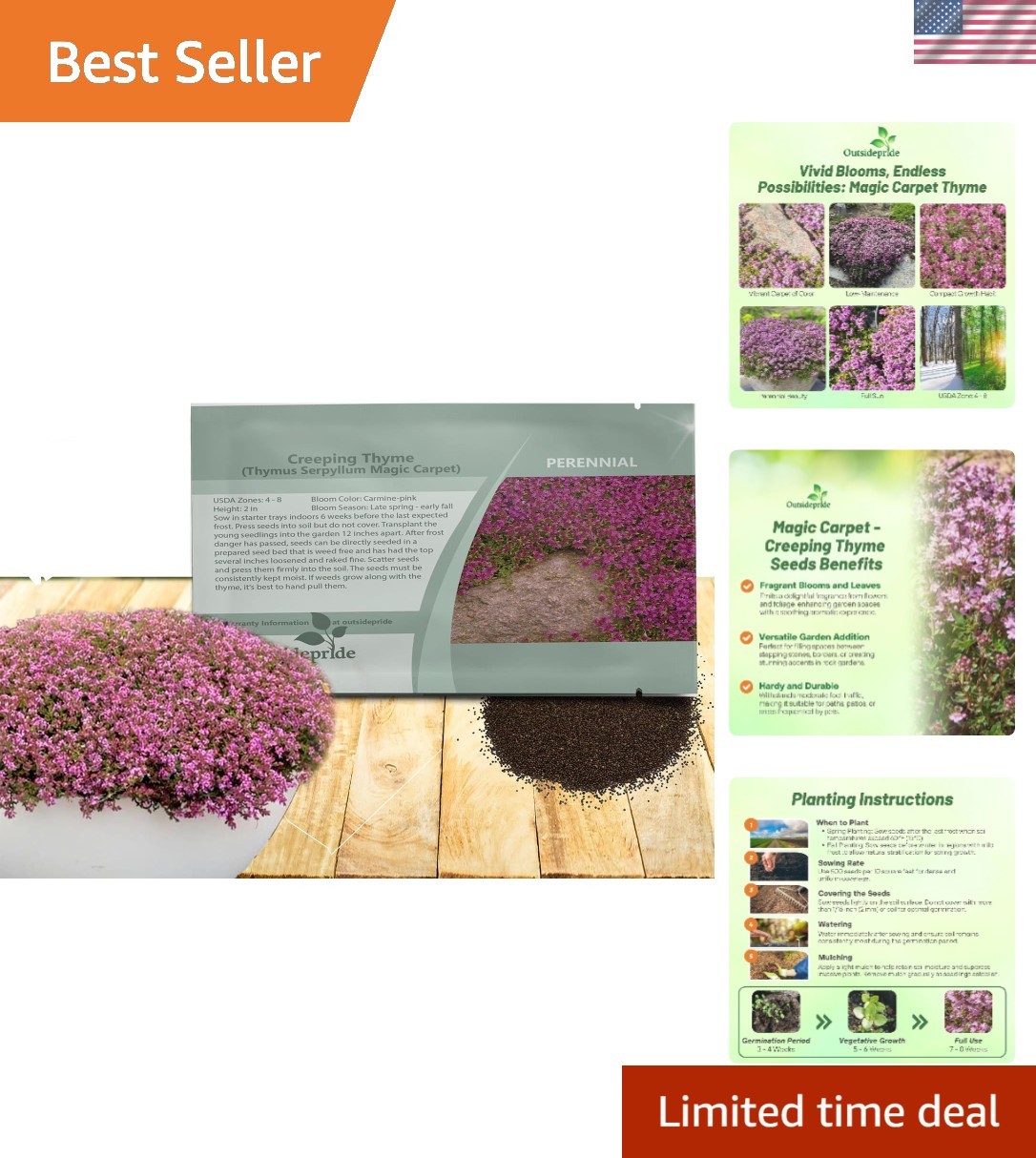 500 Pack of GMO-Free Magic Carpet Creeping Thyme Seeds for Vibrant Landscapes