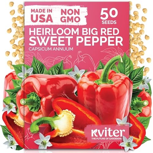 50 Big Red Bell Pepper Seeds (Capsicum annuum) – Large Sweet Peppers Seed