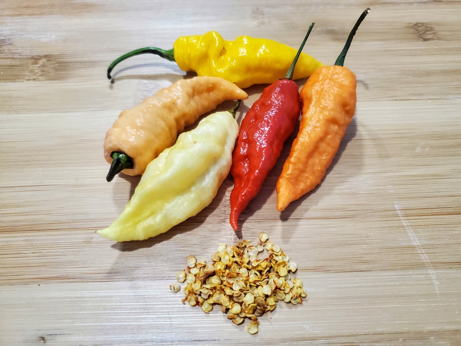 GHOST Pepper Seeds Super Hot! Bhut Jolokia Red 25+ seeds Organically Grown in TN