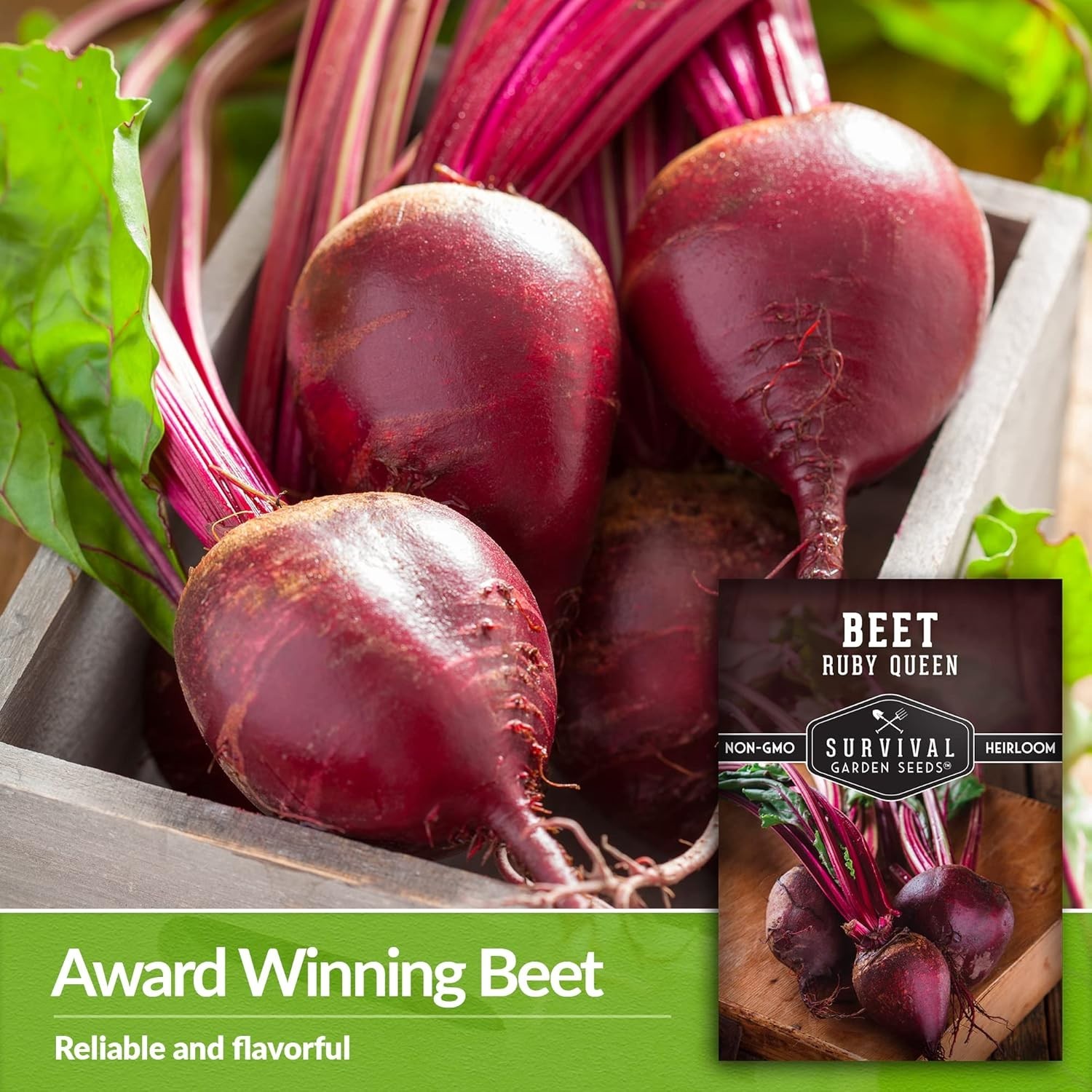 Heirloom Ruby Queen Beet Seeds – Compact, Disease Resistant, Gourmet Flavor