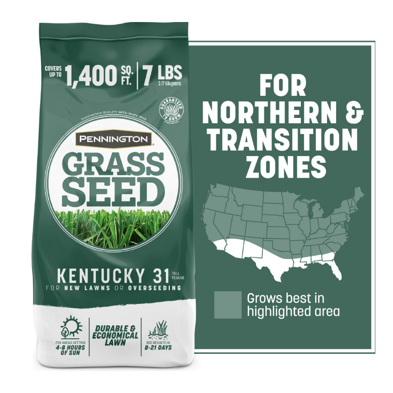 Pennington Kentucky 31 Tall Fescue Grass Seed Sun to Partial Shade 7 lb Bag New