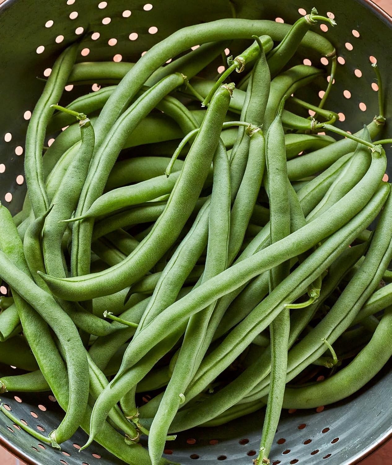 Non-GMO Blue Lake 274 Heirloom Bush Bean Seeds – 8 Oz for Delicious Harvest