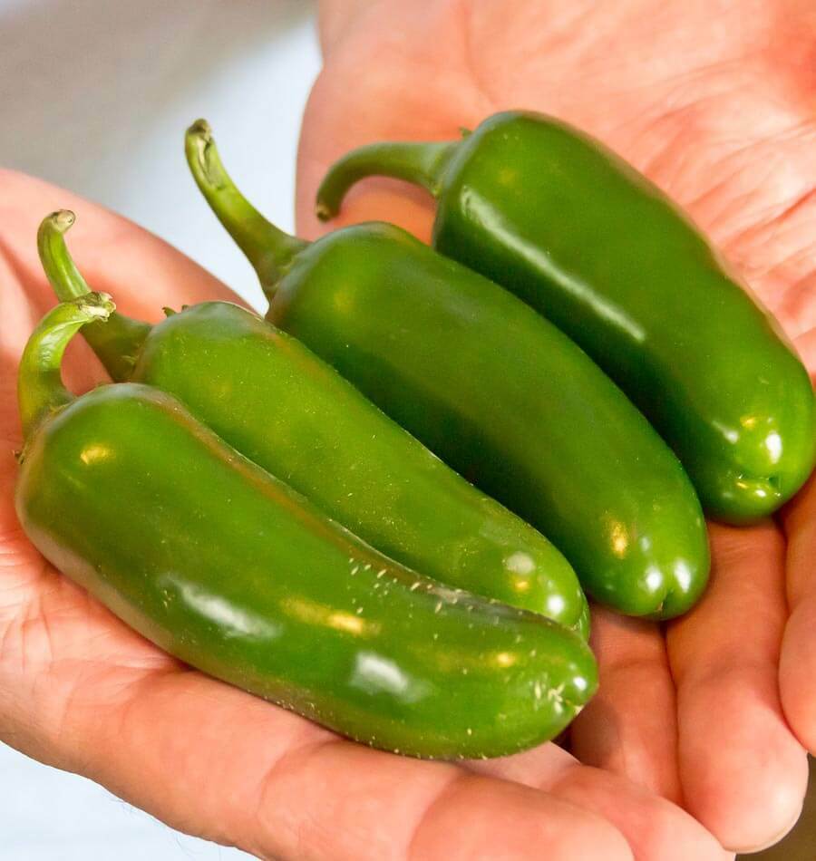 Multi hot pepper seed-pak 6 EZ varieties non-gmo heirloom BIG FLAVOR!!
