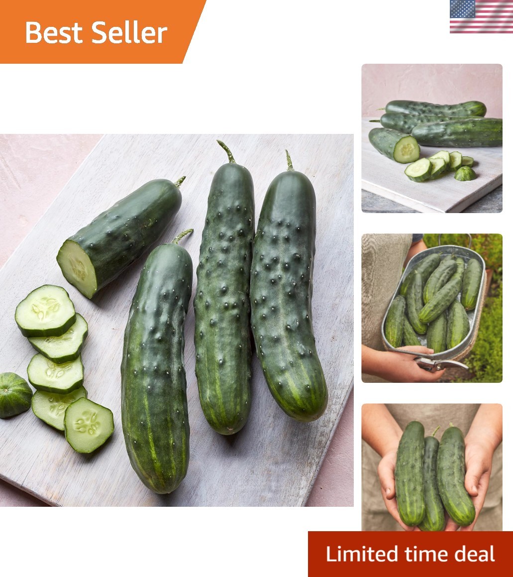 Non-GMO Marketmore 76 Slicing Cucumber Seeds – 125 Count for Home Garden