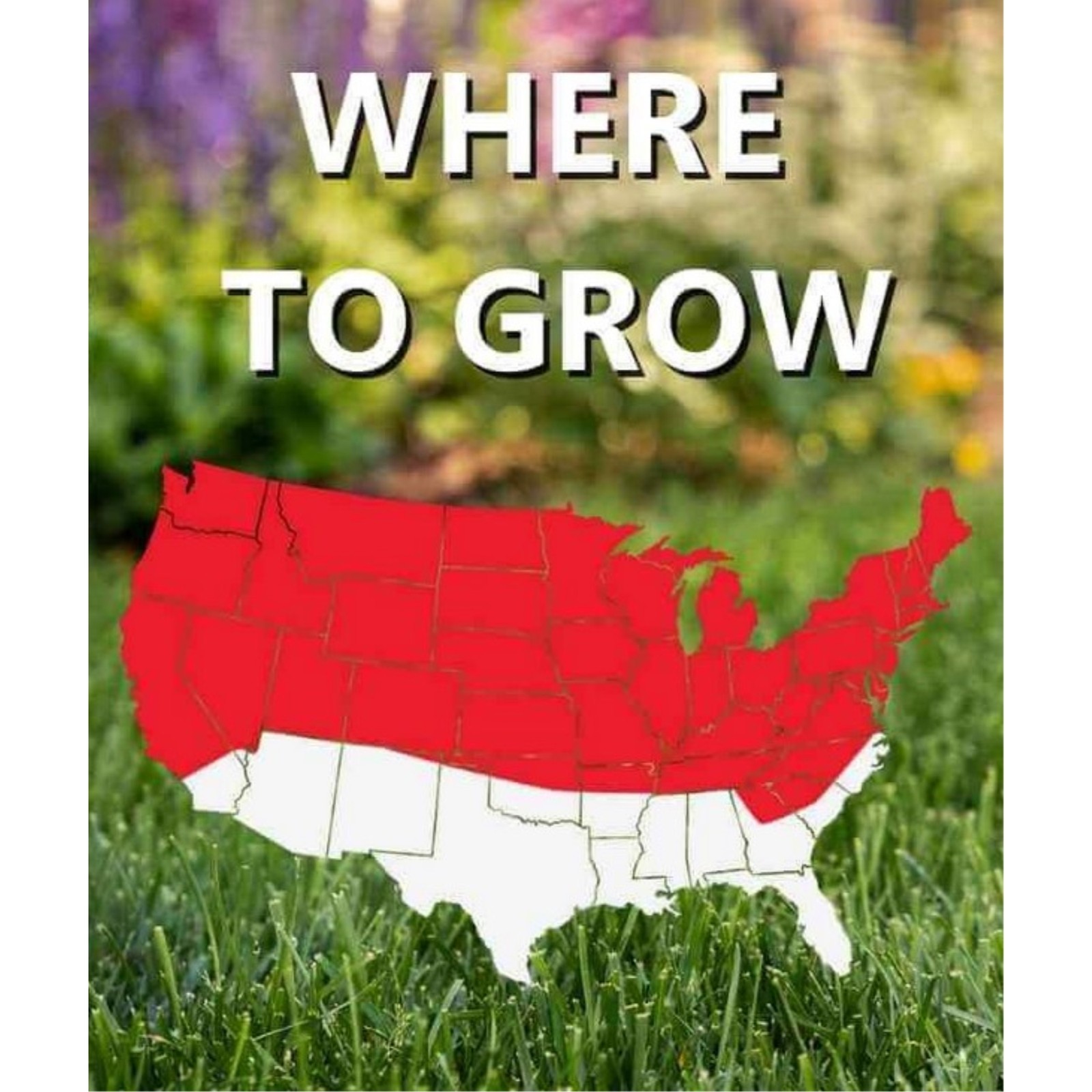 Jonathan Green (#10860) Black Beauty Sunny Premium Grass Seed Mixture, 3lb bag