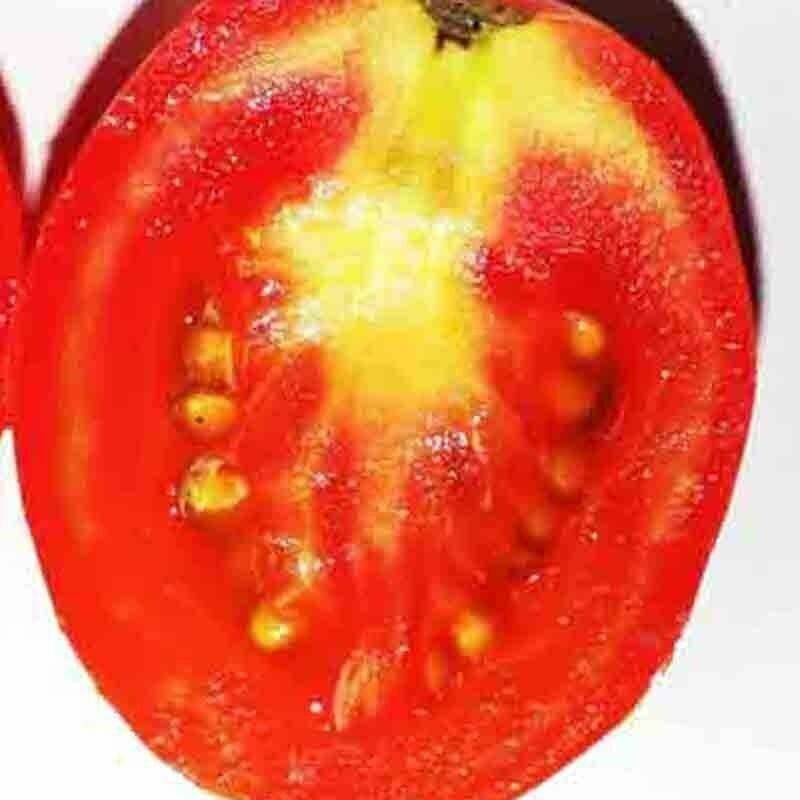 SCARBOROUGH SEEDS ORGANIC ROMA TOMATO 100 SEEDS HEIRLOOM NON-GMO OPEN-POLLINATED