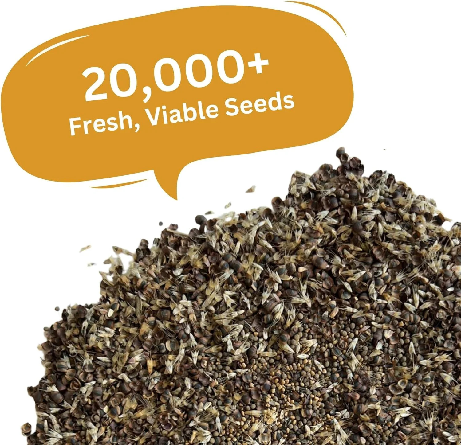 Drought Tolerant Wildflower Mix – 20,000+ Seeds – 1 oz Bulk Extra Large Resealab