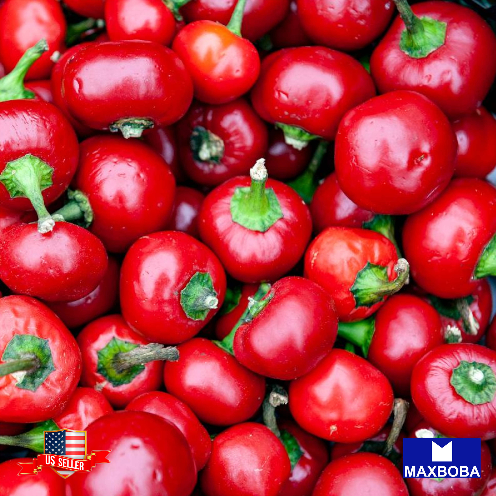 Pepper Seeds – Hot – Large Red Cherry Hot Non-GMO Heirloom Vegetable