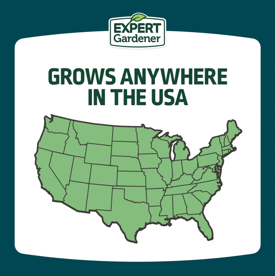 Expert Gardener Kwik Grass Seed Mix, for Sun to Partial Shade, 3 lb, Free Ship