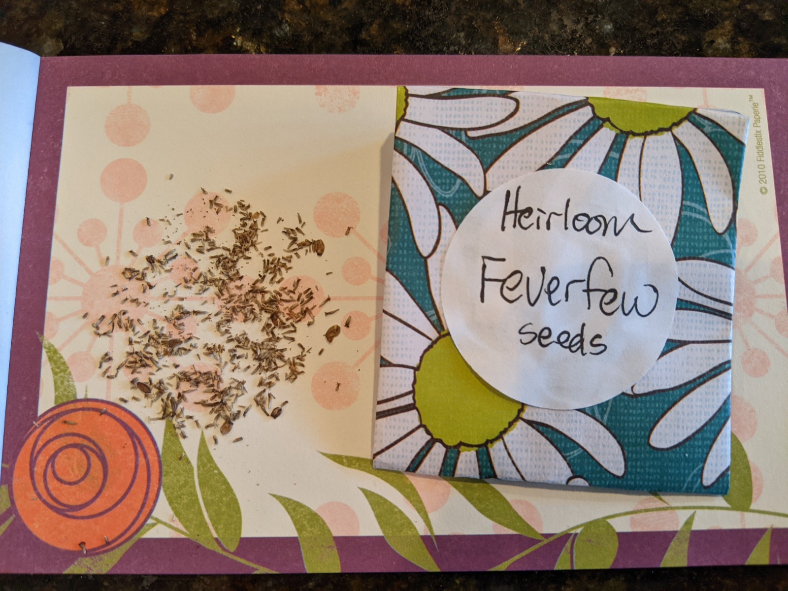 Organic Heirloom Feverfew Seeds, 500+ seeds