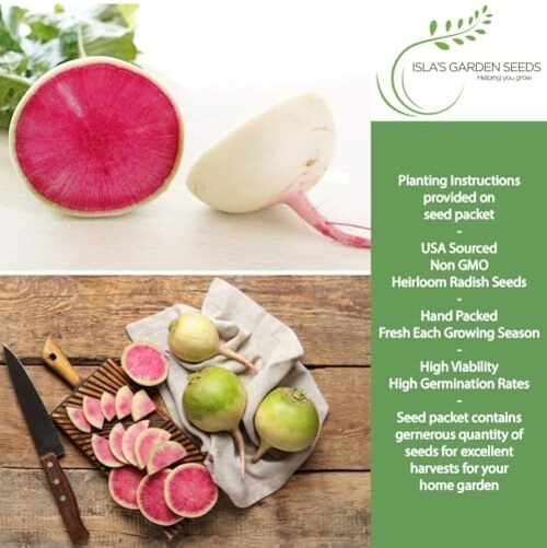 Watermelon Radish Seeds (Raphanus sativus acanthiformis) – 120+ Non-GMO